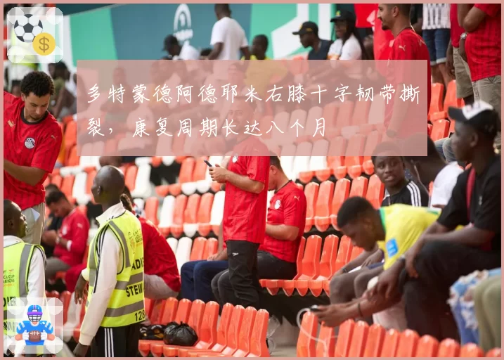 多特蒙德阿德耶米右膝十字韧带撕裂,康复周期长达八个月